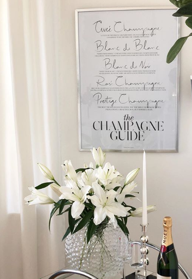 The Champagne Guide