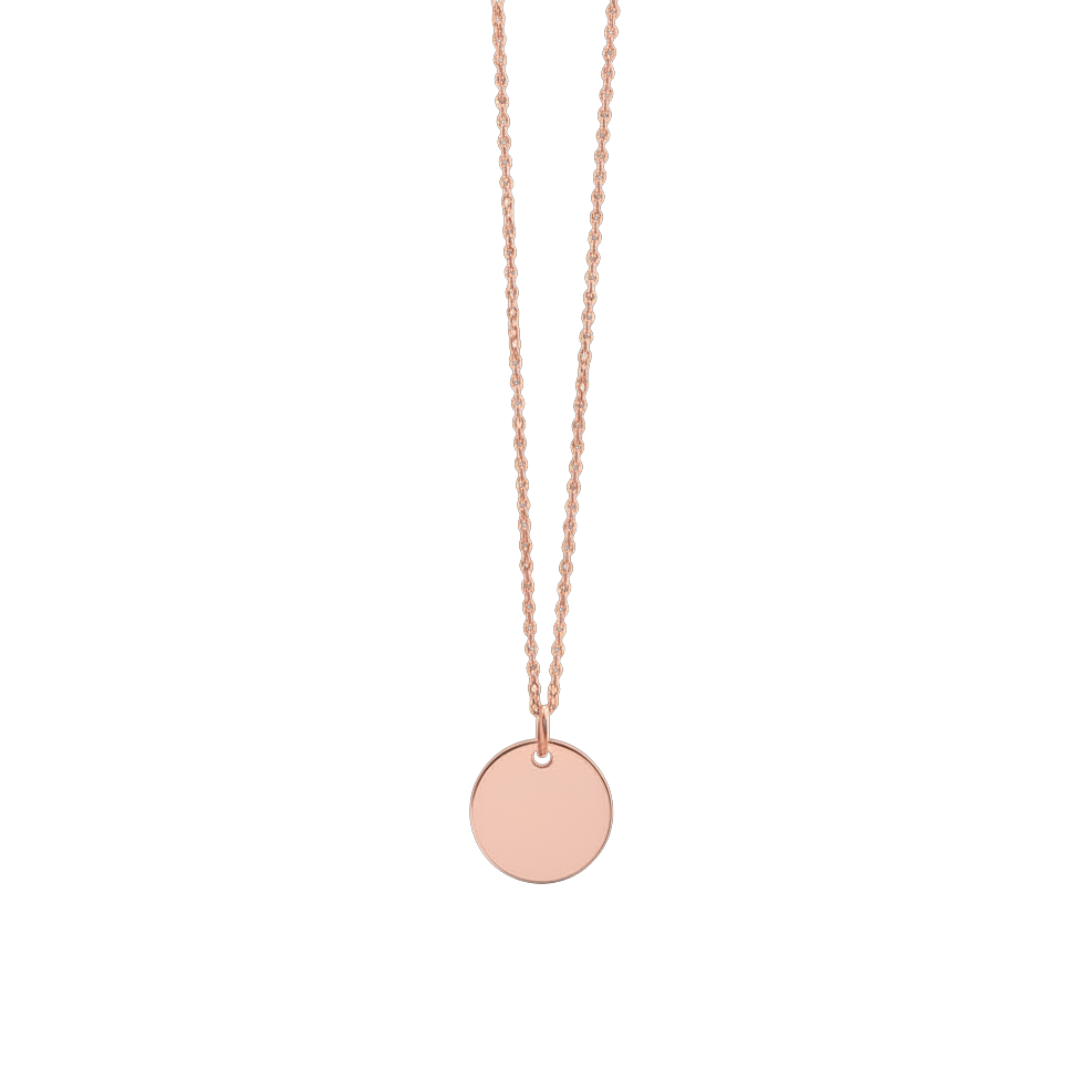 Halsband Mynt med EGEN personlig gravyr, stål / guld / rosé